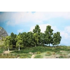 Bomen - 15x Loofbomen 10 -18 Cm