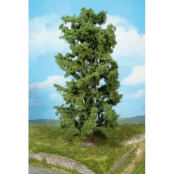 Bomen - 1x Rots Esdoorn 30 Cm