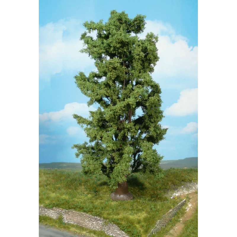 Bomen - 1x Rots Esdoorn 30 Cm