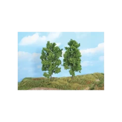 Bomen - 2x Beuken 18 Cm