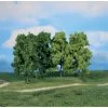 Bomen - 4x Loofbomen 18 Cm