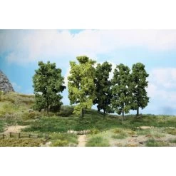 Bomen - 5x Loofbomen 18 Cm
