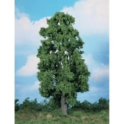 Boom - 1x Kastanje 30 Cm