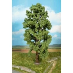 Boom - 1x Plataan 35 Cm